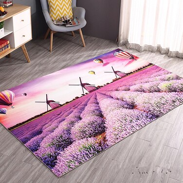 Solid Soft Non-Slip Absorbent Living Room Carpet 80x120 cm