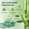 50 Coils Mosquito Repellent Citronella Incense Coil with Holder,Natural Citronella Oil Lemongrass Oil,Suitable for Outdoor Camping,Patio,Hiking and Indoor Use,could Last 5 Hours per Coil