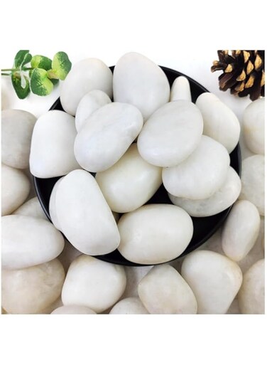 vsell24 5-8cm Extra Large White River Rocks for Landscaping &ndash; Natural Pebbles for Indoor Plants, High Polished Decorative Stones for Garden, DIY, Vase Fillers, Fish Tank, and Aquariums (500 Grams)