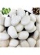 vsell24 5-8cm Extra Large White River Rocks for Landscaping &ndash; Natural Pebbles for Indoor Plants, High Polished Decorative Stones for Garden, DIY, Vase Fillers, Fish Tank, and Aquariums (500 Grams)