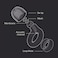 Loop Experience 2 Plus Ear Plugs &ndash; Stylish Certified Hearing Protection for Concerts &amp; Festivals, Live Events, Sports, DJs &amp; Nightlife &ndash; 17dB Noise Reduction, (High-Fidelity) + Mute for extra coverage Silver