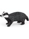 Schleich Wild Life, Animal Figurine, Toys for Boys and Girls Badger White, 3-8 years old, 14842