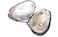 Global Journey Blue Tang Pearl Giftset &ndash; Real Oyster with Surprise Pearl &amp; Wildlife Pendant Necklace, Eco-Chic Ocean-Themed Gift for Women &amp; Girls