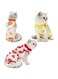 HONPOLO Cat Surgery Recovery Suit, 3-Piece Post-Operative Cat Bodysuit Set, Prevents Licking and Protects Wounds, Ideal for Spay Recovery &amp; Postpartum Care, Orange Lemon Patterns Fits Cats up to 9kg