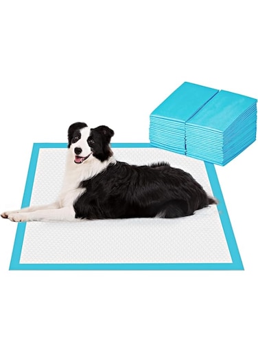 Mumoo Bear Puppy Training Pads for Dog Pet Pee Absorbent Toilet Pee Wee Mat Anti Slip Leakproof (40 PACK-60 * 60CM)