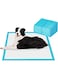 Mumoo Bear Puppy Training Pads for Dog Pet Pee Absorbent Toilet Pee Wee Mat Anti Slip Leakproof (40 PACK-60 * 60CM)