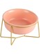 HCHLQLZ Orange Small Ceramic Tilted Elevated Cat Dog Bowl Raised Cat Food Water Bowl Dish Pet Comfort Feeding Bowls with Gold iron stand