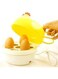 Electric Egg Cooker