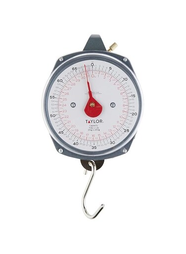 Taylor Precision Products Dial Style 70-Pound IndUStrial Hanging Scale, One Size