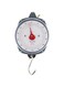 Taylor Precision Products Dial Style 70-Pound IndUStrial Hanging Scale, One Size