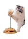 Marchul Cat Ball Toy with Treat Ball, Cat Treat Dispenser Toy with Roller Track Balls Catnip Balls, Interactive Cat Toys Wooden for Indoor Cats Kitten, Cat Food Toy with Automatic Slow Feeder Ball