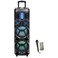 Portable Bluetooth Party Speaker with RGB Lights, Mic, Remote, USB, AUX, FM, Trolley Handle