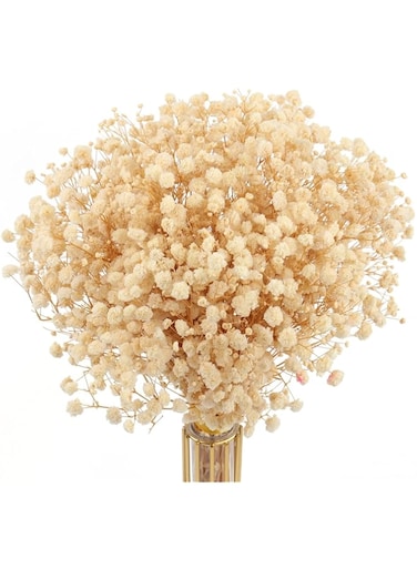 MIHUAGE Dried Flowers Babys Breath Bouquet,100% Natural 17.2" 3000+ Ivory White Bundles Gypsophila for Wedding DIY Arrangements Home Decorations Table Vase Decor 4oz(Beige)