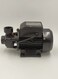 AL ARQAM  Water Pump Size 25Cm 220V Single 0 5 HP by Aussie International