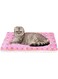 Tazweeq Ultra Soft Pet Bed, Cat Bed Dog Crate Pad with Cute Star Print, Washable Crate Mat for Small Dogs and Indoor Cats, 47 x 33 cm