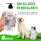 Bionatura EVERYDAY PET SHAMPOO 500GM