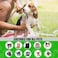 Everyday Pet foam shampoo
