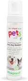 Everyday Pet foam shampoo