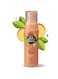 Pet Head Dog Grooming Deodoriser Foam 200ml, Quick Fix No Rinse, Peach Scent, Best Dry &amp; Waterless Shampoo For Smelly Dogs, Nourishes And Softens Coat Skin, Vegan, Gentle Formula Puppies