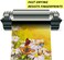 Motarro 240 Sheets Inkjet Photo Paper, Glossy Dye Ink Instant Dry Photographic Paper Suitable for Dye Ink Printers, 5"x 7" 2880dpi 11.5mil 200Gsm 76lb Pack 2