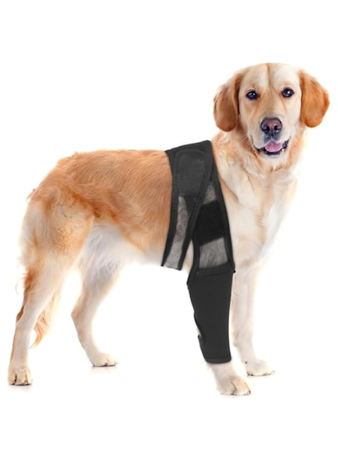 Knee Brace Dog Thigh Protection Sleeve Joint Knee Pads Leg Protection Weakness Injury Protection Postoperative Rehabilitation Bracket Fixed Leg Straps, Black (S)