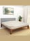 Ortho Plus Medical Rebonded Foam Mattress (Extra Firm Feel) Reversible Mattress     190x200x29 cm