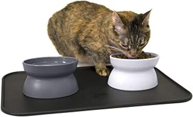 Kitty City Raised Cat Food Bowl Collection_Stress Free Pet Feeder and Waterer,Gray,3 Piece Set,CM-0297-CS01