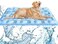 Mumoo Cat Summer Cooling Mat &amp; Sleeping Pad Pet cooling mat- Cat Dog Cooling Mat,RReversible Cold Gel Cooling Pads Safe Physical Cooling Dog Kennel,Floor Washable Summer Pet Pads (60 * 90 CM Azure)