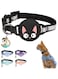 Airtag Cat Collar, Breakaway Luminous Adjustable Cat Collar with Bell, Compatible with Airtag and iPhone, Cat Collar, Cute Design for Cat Owners (Black) - Airtag Not included