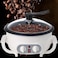 Coffee Roaster, 800 W Upgrade Coffee Roaster Machine with Clear Glass Cover, 0-240℃ Adjustable Temperature and 750g Coffee Capacity