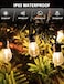 Outdoor Decorative String LED Lights Waterproof Fairy Lights for Garden, Patio, Party &amp; Christmas&nbsp;Decoration
