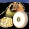 Camping Light, Multifunctional Portable Camping Lamp, Portable LED Tent Lamp
