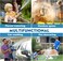 Expandable Garden Hose 7.5m, 15m, 30m UAE Standard Brass Connectors, Ultra-Lightweight Design, 10 Modes Nozzle, Triple Latex Core &amp; 4000D Fabric for Garden, Car, Pet (Blue-15m, 50ft)