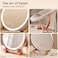 Round Professional LED Makeup Mirror Touch-sensitive dimming, 360&deg; rotation, memory function, and a stable metal base Bedrooms, Bathrooms, and dressing tables