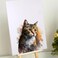 A3 White Double Sided Foam Board (42 x 29.7 cm) &ndash; 4 Pack   5mm Thick Polystyrene Sheets for Model Making, Photo Mounting, Presentations, Arts &amp; Crafts, School &amp; Office