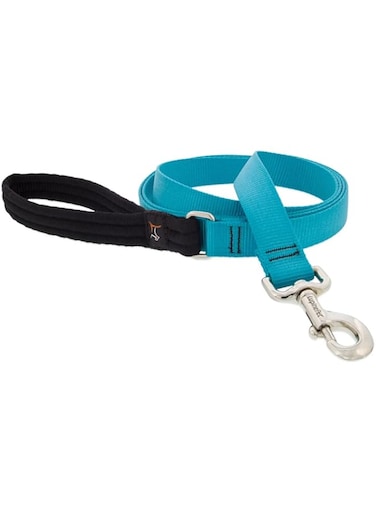 Lupine Basics 1in Aqua Leash 4 Foot, 122cm