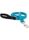 Lupine Basics 1in Aqua Leash 4 Foot, 122cm
