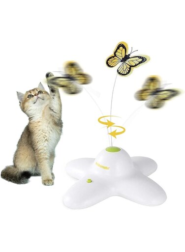 All For Paws Interactives Flutter Bug Toy Dogs, 4.5 Kg