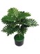 Rosy.Moment Beautiful 60cm Artificial Tree with Realistic Foliage in Durable Plastic Pot &ndash; Perfect for Home Decor, Office Spaces, and Events