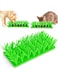 Ssumght Silicone Grass Mat for Cats, Pet Slow Feeding Foraging Mat, Pet Chew Toy Training Feed Game for Cats Dogs Pets Washable(17 * 36 * 3.65CM)