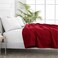 BSB HOME&reg; 220 GSM Premium Plush Double Blanket for Bed, Sofa, Couch, Travel and Camping AC Blanket   220x230 cm   Red   SOLID POLO BLANKET