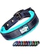 Black Rhino - The Comfort Collar Ultra Soft Neoprene Padded Dog Collar for All Breeds - Heavy Duty Adjustable Reflective Weatherproof (Medium, Aqua/Grey)