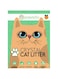 Pawsitiv Premium Non-Clumping Crystal Silica Cat Litter, Lightly Scented Litter &ndash; Exceptional Odor Control &ndash; Low Dust &ndash; Low Tracking for Less Mess - PEACH (8L)
