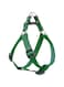 Lupine Step In Harness 15-21, Green, 3/4 Inch