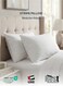 Extra Smooth Stripe Pillow King Size 50x90cm /20''x 36'' Fluffy White,Back and Stoamch Sleeper Hotel Quality Pillow, Pack of 2