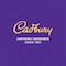 Cadbury Original Chocolate Cocoa Powder 250g