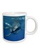 Great White Shark Ceramic Mug White