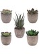 ORiTi 5PCS Small Artificial Succulent Plants Potted Assorted Faux Succulents Fake Cactus Cacti Plants Mini Succulent Plants for Window Sills, Bathrooms, Office Home