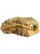 Flame On Firewood Birchwood 8 kg, Medium