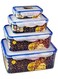 Food Container 4-Pieces Set